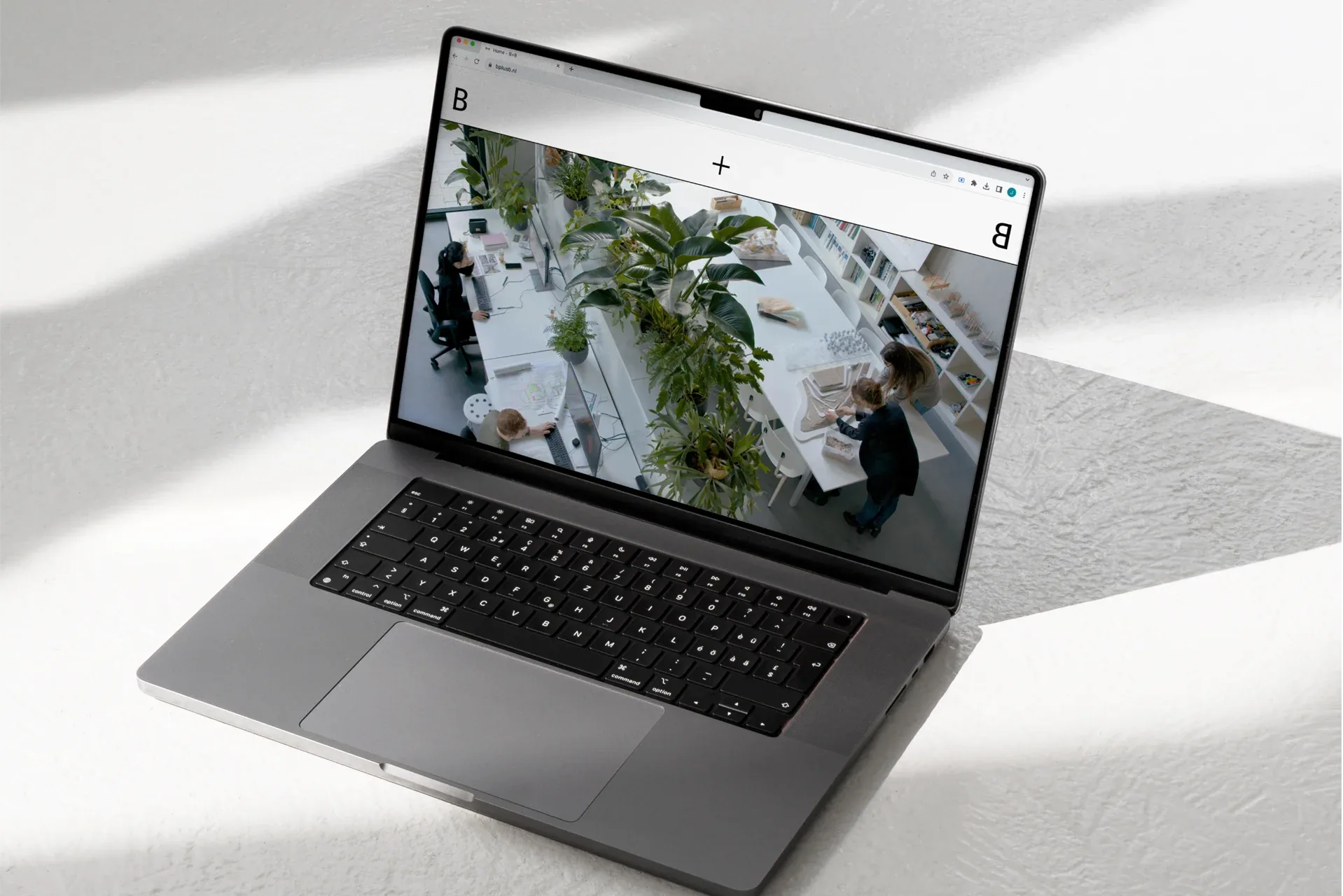 B+B Landscape architecture — design by Studio Jord Noorbeek